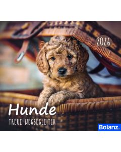 Hunde 2026 (Minikalender)