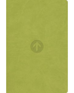 Schlachter 2000 - Taschenausgabe - grün