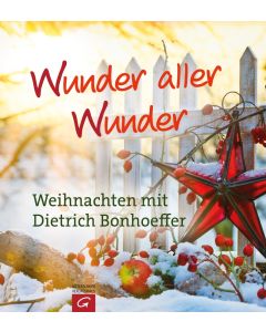 Wunder aller Wunder