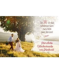 Herzliche Glückwünsche zur Hochzeit - Faltkarte