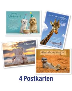 Postkartenserie: InMotion -  gemischte Tiermotive 4 Stk.