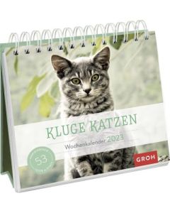 Kluge Katzen 2023 - Wochenkalender
