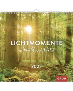 Lichtmomente in Wald und Natur 2023  - Wandkalender