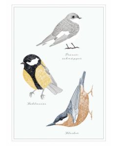 Postkarte - natur-verliebt "Vögel"