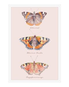 Postkarte - natur-verliebt "Schmetterling"