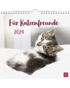 Für Katzenfreunde 2024 - Wandkalender
