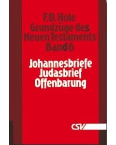 Grundzüge des Neuen Testaments, Bd. 6