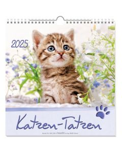 Katzen-Tatzen 2025