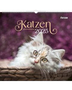 Katzen 2025 - Wandkalender