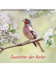 Gesichter der Natur 2025 - Wandkalender
