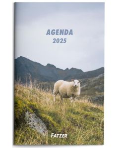 Agenda 2025