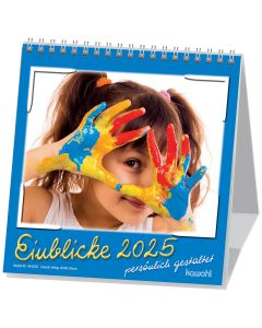 Einblicke 2025