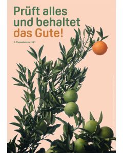 Poster A4 'Prüft alles und behaltet das Gute!               1. Thessalonicher 5,21'