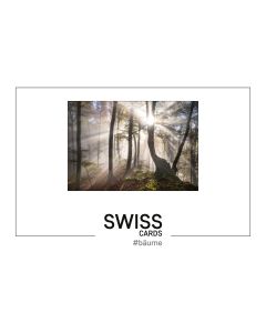 Swiss Cards #bäume (Kartenbox)