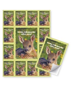 Aufkleber-Grußkarten Set Jahreslosung 2026, Motiv Reh