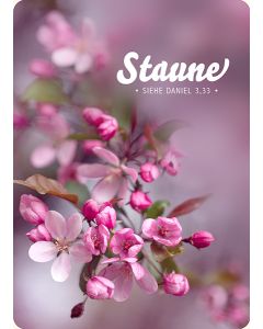 Postkarte 'Staune'