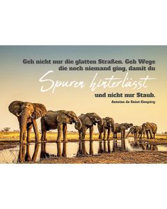 Postkarte 'Geh nicht nur die glatten Straßen. Geh Wege, die noch niemand ging, ...'