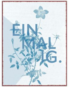 Metallschild 'Einmalig'