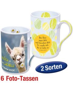 Paket 'Fototassen' 6 Ex. gemischt