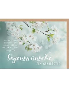 Faltkarte 'Segenswünsche zum Geburtstag'