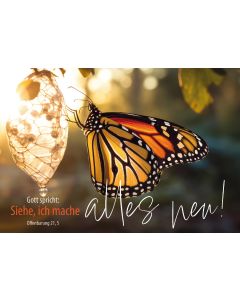 Poster A3 laminiert 'Gott spricht: Siehe, ich mache alles